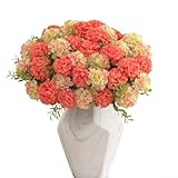 Photo Gallery eawfgtuw bouquet di ortensie artificiali, 10 teste di fiori per centrotavola per matrimoni, casa, tavolo, mensola, 33 cm di altezza (rosa bianco) Photo Gallery eawfgtuw bouquet di ortensie artificiali, 10 teste di fiori per centrotavola per matrimoni, casa, tavolo, mensola, 33 cm di altezza (rosa bianco)