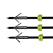 HBG 6Pcs 34'' Fiberglass Fishing Arrows 8mm Fishing Bow Arrows with Points Archery for Compound Bow and Recurve Bow Hunting Fishing
