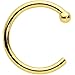 Body Candy Tiny Nose Ring Hoop 20 Gauge 1/4
