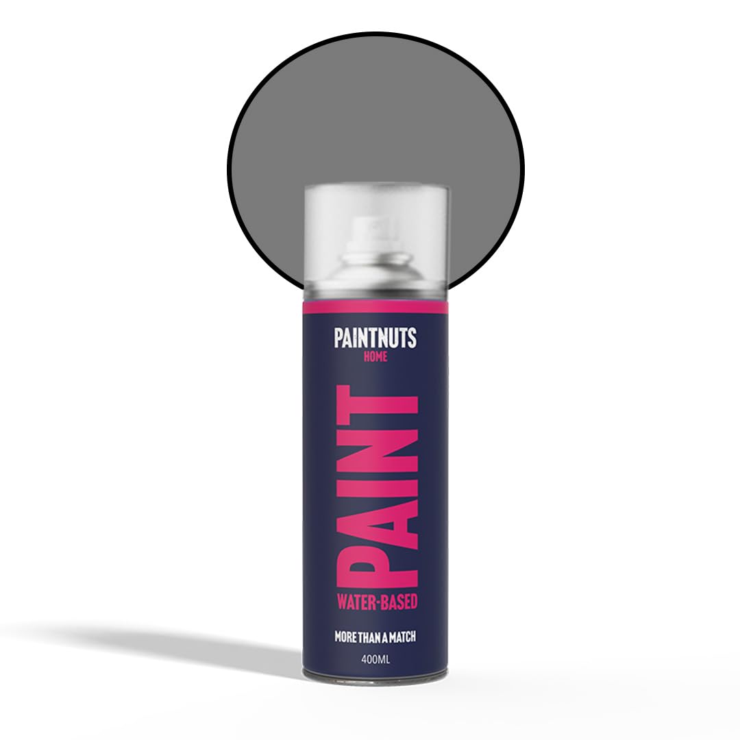 Paintnuts Water Based Multi-Surface Paint - RAL-7037 - DUSTY GREY Gloss 400ml Spray Can