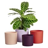 TRENDIGE FARBEN | Exklusive Farbkombinationen. Erhältlich in einem Set von 11, 13, 14 und 15 cm.