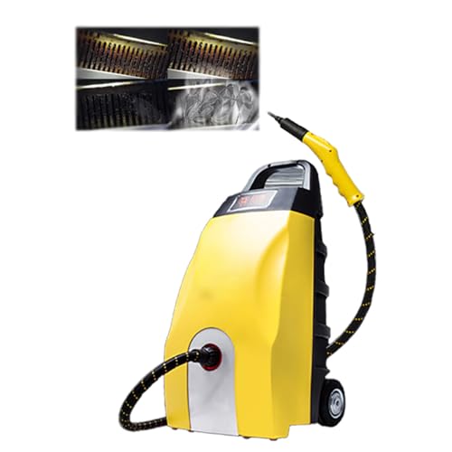YUDNLIB 3000W High Pressure Steam Cleaner – Heavy-Duty, Portable steam