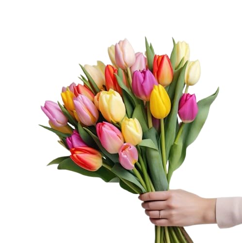 DECOALIVE - Ramo de 50 Tulipanes Mix Color - Bouquet de Flores Naturales Frescas