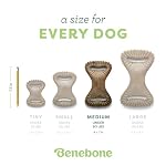 Benebone Dental Durable Dog Chew Toy for Aggressive Chewers, Real Bacon, Made in USA, Medium - Image 4