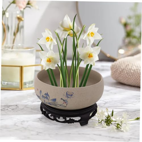 Pot hydroponique pour lotus apportez la sérénité zen dans votre maison - 6