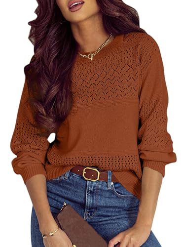 Image of SHEWIN Women's Sweaters Casual Long Sleeve V Neck Crewneck Lightweight Crochet Pullover Sweater Tops