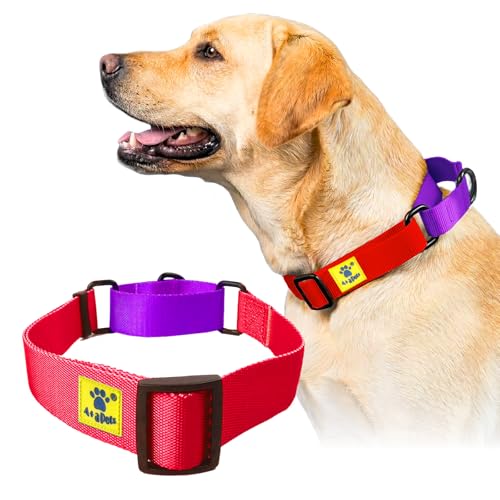 Image of A+a Pets Martingale Dog Collar | No Pull Design, No Neck Strain, No Choke Design | for Large & Medium Dogs | Rust Free, Waterproof Nylon Training Collar (Red & Purple), 20 x 2.5 cm