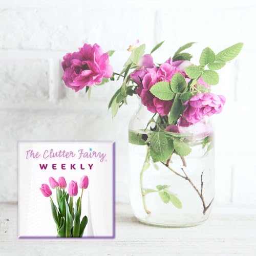 Being Grateful for What We Have (or Don’t): Gratitude and Clutter - The Clutter Fairy Weekly #280