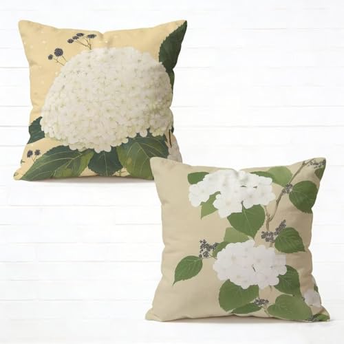 �N�b�V�����J�o�[ 55x55 cm 2���Z�b�g ���n ���z�c�J�o�[ 55 x 55 �\�t�@�[ �N�b�V���� ���� �l�C ���O �N�b�V���� �� �������J�o�[ �l�p HD���ʈ�� ���_�� �B���t�@�X�i�[�t���C�t�ăR���N�V���� �K�p�Ώ� �ƒ� �I�t�B�X �֎q �x�b