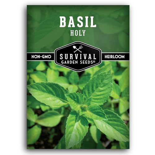 Holy Basil Seed for Planting - Survival Garden Seeds (1 Pack)