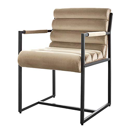 Damiware Tony Stuhl | Design Wohnzimmerstuhl Esszimmerstuhle Bürostuhl mit Stoffbezug | (Samt Taupe) Cover