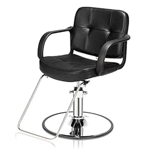 Salon Chair for Hair Stylist, Hydraulic Barber Chair Heavy Duty, Styling Hairdressing Beauty Shampoo Equipment