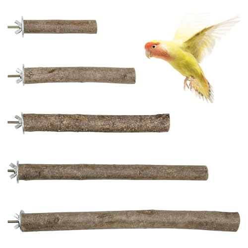 Image of Woohome 5 PCS Perch Bird Stand Toy Natural Wood Platform Natural Wood Bird Perch Stand for Small Birds Cockatiels Lovebirds Budgie Parrot
