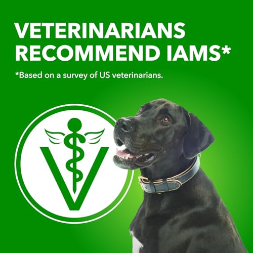 IAMS Proactive Health Adult Wet Dog Food – Chicken & Whole Grain Rice – Classic Ground – 369G Can (13 oz) (12pack) image 1
