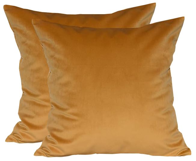 TangDepot Pack of 2 Solid Velvet Throw Pillow Covers, Cushion Shams, Super Luxury Soft Pillow Cases, Square Pillow Shells - (20x20 Inch 2 Pieces,