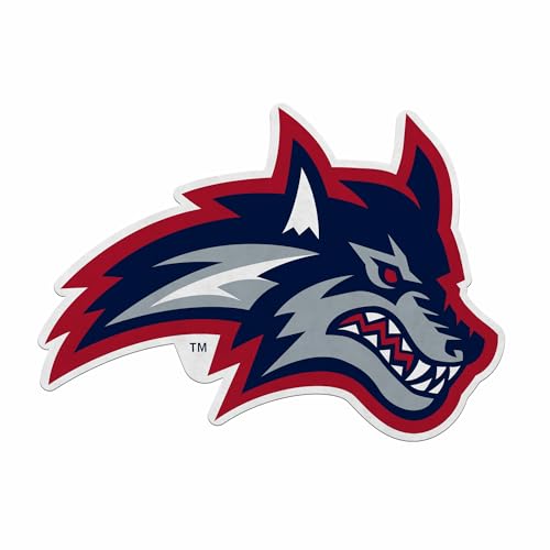 Fanion Stony Brook Seawolves en feutre pour habiller un mur vide de salon sans l'abîmer