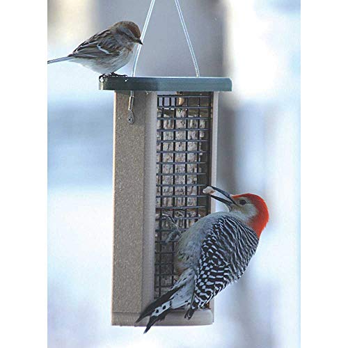 Distributeur de graisse pour oiseaux en métal robuste à base stable premium