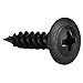 Parts Express #8 x 3/4" Phillips Truss Head Screws 100 Piece 2 pack