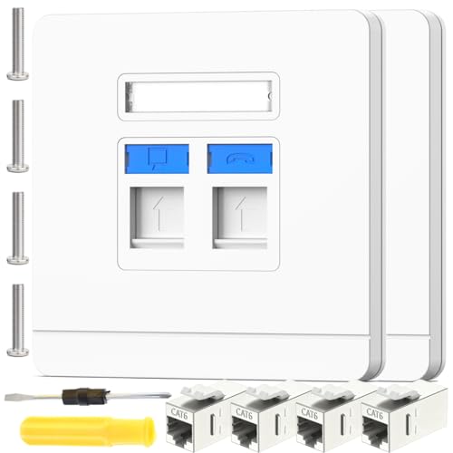 Prise Ethernet Cat6A RJ45 à double port pour un débit maximal stable