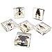 Fruzelg ELifeBox 6 PCS Insect Specimen Set,Cicada,Wasp,Spider,Scorpion,Locust,Chafer Resin Collection Science Toys