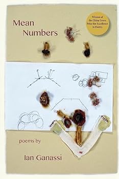 Paperback Mean Numbers Book