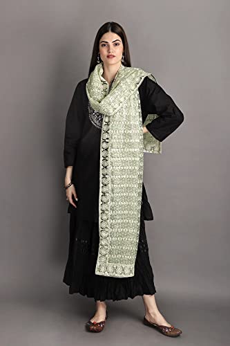Heavy Embroidered Net Dupatta With Paisley - Net2