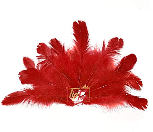 Image of Natural Dyed Feathers 10 cm (80 pieces) (Maroon)
