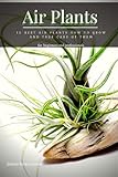 Air Plants: 15 Best Air Plants How tо Grow аnd Take Care of Them