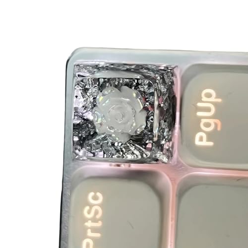 ̔L[LbvG|LVt[L[LbvJjJL[pbhJX^}CYL[Lbvj[N