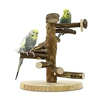 Trixie Ladder-Speelplaats - Speelgoed - 44x44x16 cm - Speelplaats - Pets Place