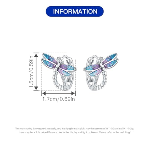 925 Sterling Silver Hoop Earrings for Women, Small and Large Trendy Hoops Sparkly Hypoallergenic Huggie Earrings Fashion Cubic Zirconia Jewelry Gifts for Sensitive Ears3