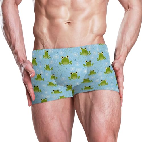 Cute Frog Mens Swim Trunk Swimwear Bathing Suit Swim Brief Square Leg Board Short S B04052272