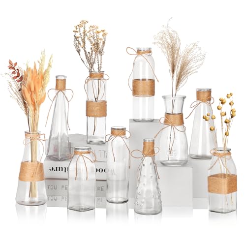 Nilos 10pcs Small Flower Vases for Centerpieces, Clear Glass Vases with Rope Design for Flowers, Vintage Farmhouse Style Mini Bud Vases in Bulk for Home Table Decor Wedding Decorations