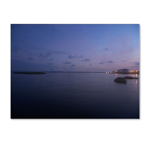 Trademark Fine Art Pure Elegance Artwork by Monica Fleet, 24 by 32-Inch