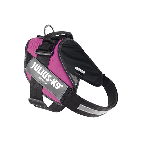 IDC Powerharness, Size: XL/2, Dark Pink IDC Powerharness, Size: XL/2, Dark Pink