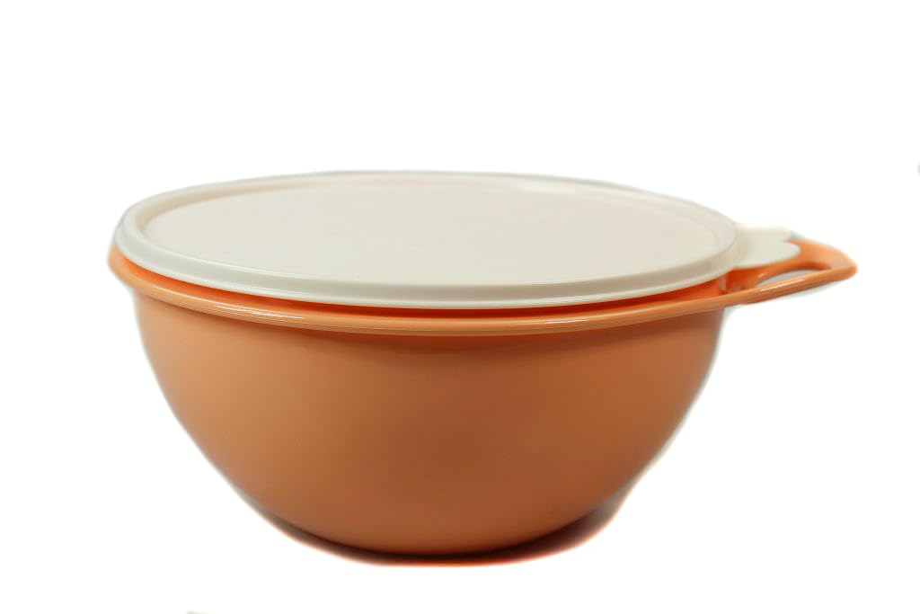 TUPPERWARE Bol batteur mélangeur 650 ml terre cuite (2