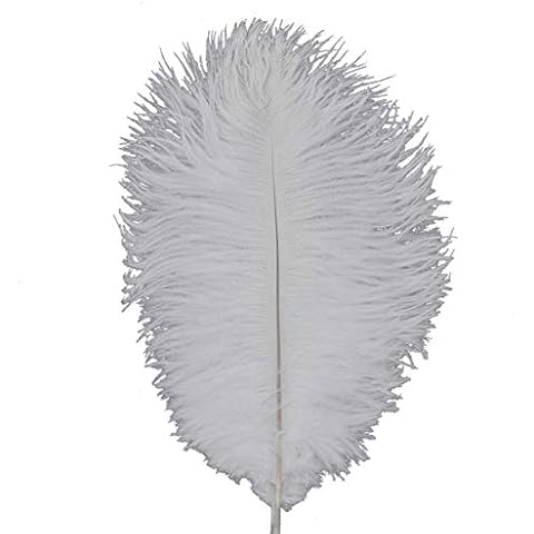 Shekyeon 8-10inch(20-25cm) Ostrich Feather Plumes Wedding Centerpiece Table Decoration Pack of 20(White) Cover