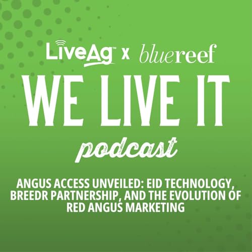Page de couverture de Angus Access Unveiled: EID Technology, Breedr Partnership, and the Evolution of Red Angus Marketing