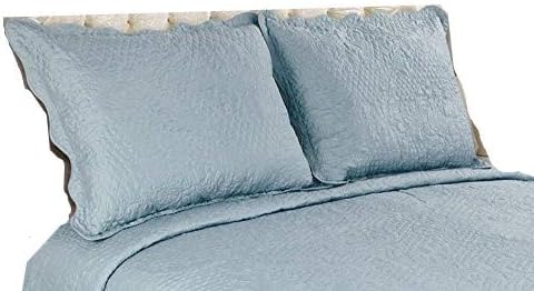 ALL FOR YOU 2-Piece Embroidered Pillow Shams-King Size (King, Aqua)