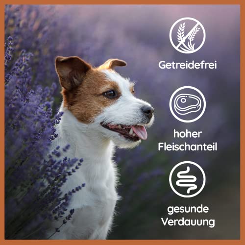 Wildfang® Premium Hunde-Nassfutter I Monoprotein I getreidefrei I B.A.R.F Qualität (Rind pur, 6 x 400g)