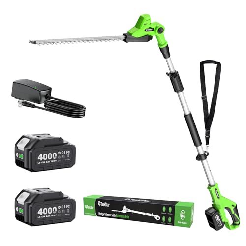 TaskStar Pole Hedge Trimmer Cordless: 20' Electric Long Reach Shrub & Bush Trimmer with Extension Pole, 2x4.0Ah Batteries, Dual-Action Blade Hedge Cutter, 3000 SPM High-Speed, 8-Feet Reach, Green