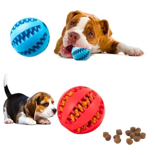 Brinquedo Bola Bolinha Para Cães Cão Cachorro Pet Porta Petisco Ração Limpeza Higiene Dental Cachorros Pets Borracha Resistente (Azul)