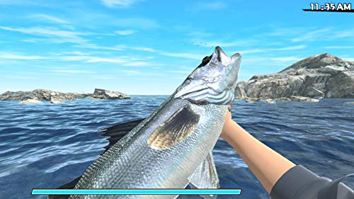 Reel Fishing: Road Trip Adventure - Playstation 4 #TOP1