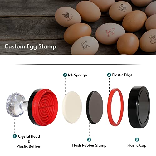 Egg Stamp, Custom Egg Stamp, Personalized Egg Stamp, Egg Stamps For Fresh Eggs, Farm Fresh Egg Stamp, Chicken Egg Stamp Personalized, Fresh Egg Stamp, Custom Duck Egg Stamp, Chicken Egg Stamps #TOP6