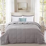 Globon Summer Down Blanket Queen Size, Extra...