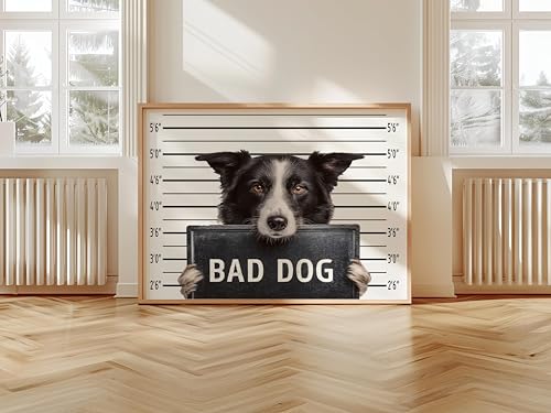 Image of aj decor Border Collie Mugshot Wall Art Print Poster, Dog Pet Lover Picture Painting Artwork Bedroom Living Room Office Dining Room 150D (Border Collie Mugshot, 11 inch W x 14 inch L, Wood Frame)