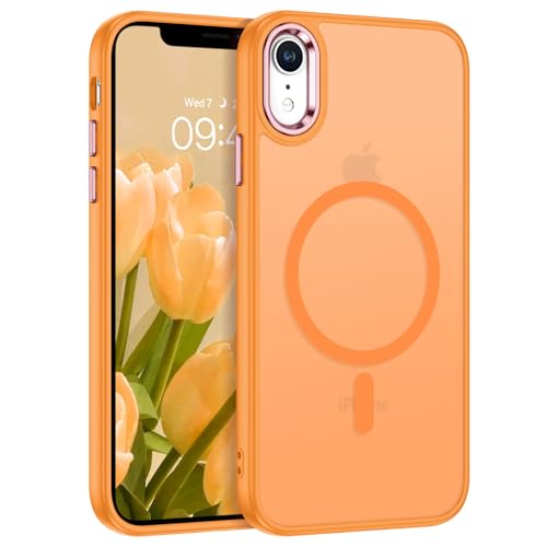 Coque compatible MagSafe iPhone XR translucide anti-rayures mince