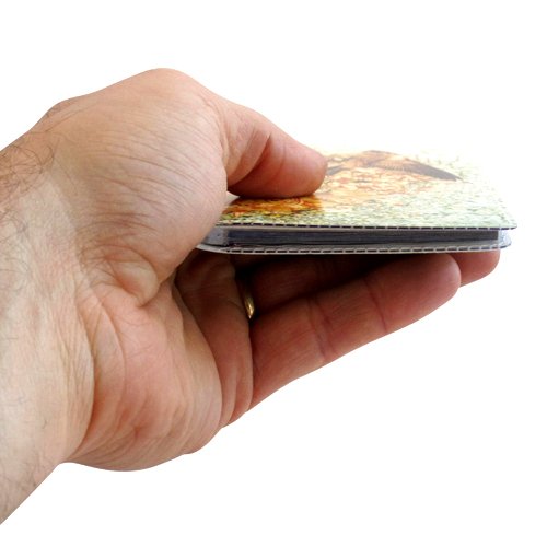 0.465972222 Ornate Bird Checkbook Cover #TOP3