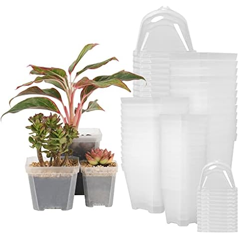 UNAOIWN 36 Pack Plant Nursery Pots with Humidity Dome,Variety Pack Plastic Gardening Pot Seed Starting Pot, Flower Planting Container Cup for Seedlings,Vegetables,Succulents Cover