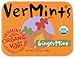 Vermints All Natural Breath Mints GingerMint -- 1.41 oz